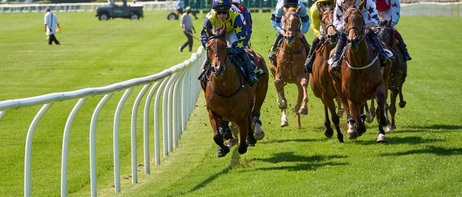 Runners on the turf along the running rail at a British racecourse