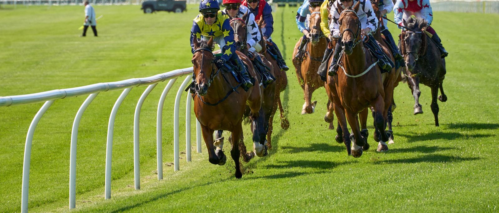 A field of runners on turf beside the running rail