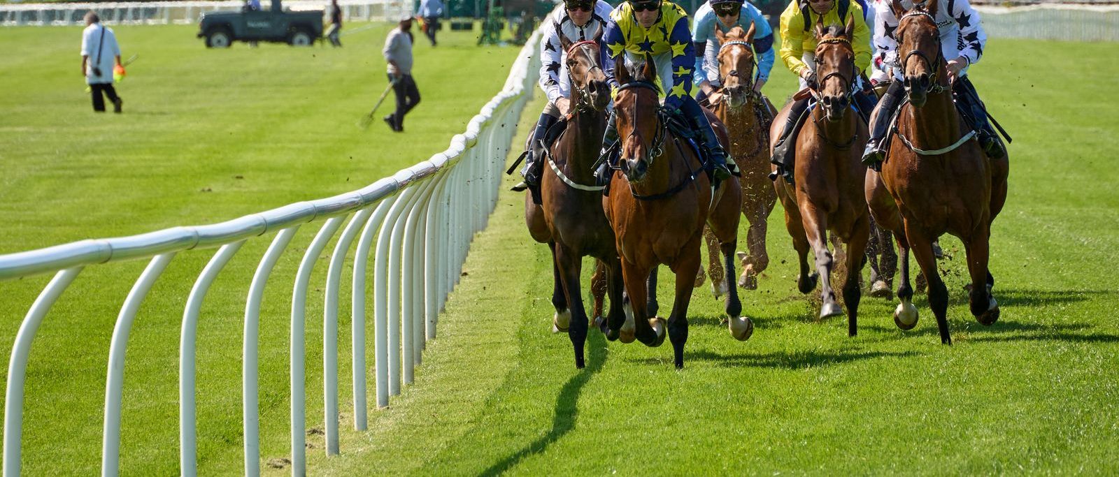 A tightly bunched field of runners on turf beside the rail