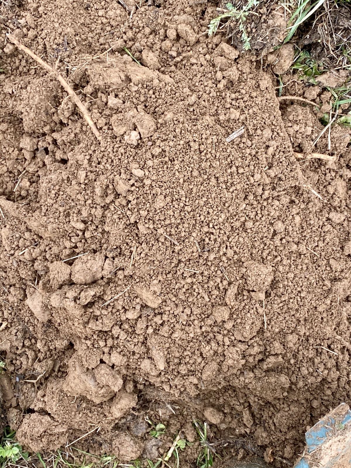 Crumbly, well structured topsoil in close up